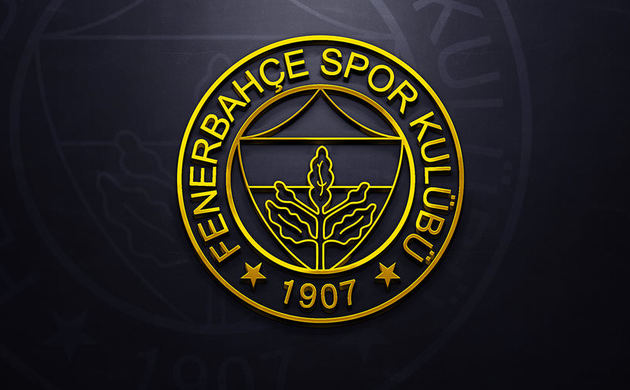 Almanlar FIFA'ya şikayet etti