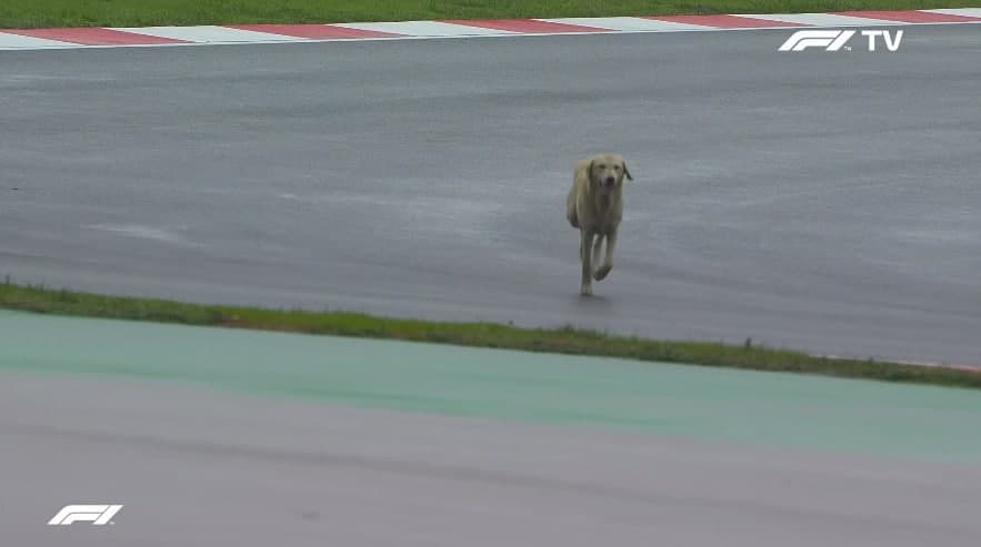 Formula 1 F1 İstanbul Grand Prix son antrenman turu tamamlandı! İşte o anlardan kareler...