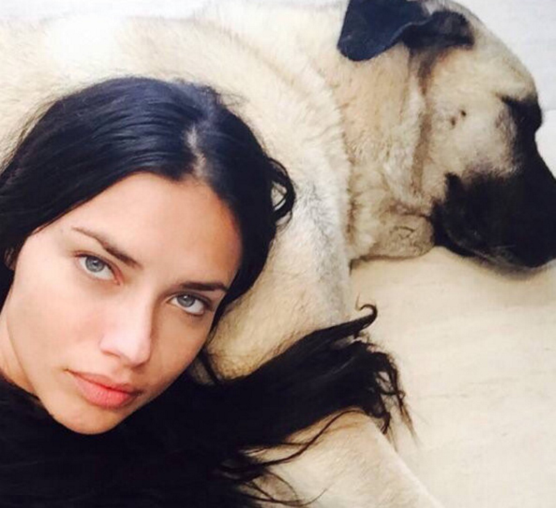 40 yaşındaki Adriana Lima hamile olduğunu açıkladı