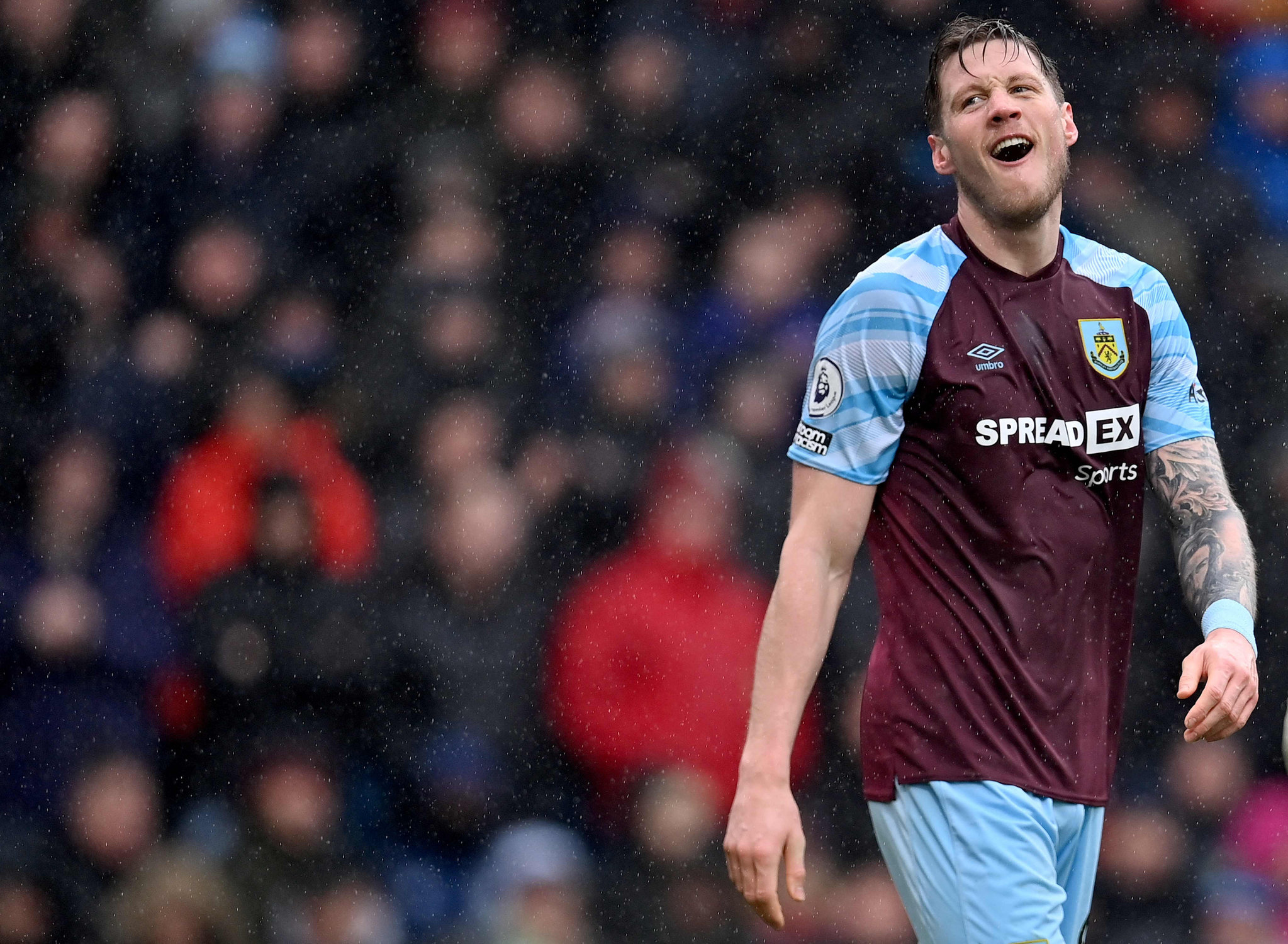 Beşiktaş ve Fenerbahçe Wout Weghorst transferinde karşı karşıya!