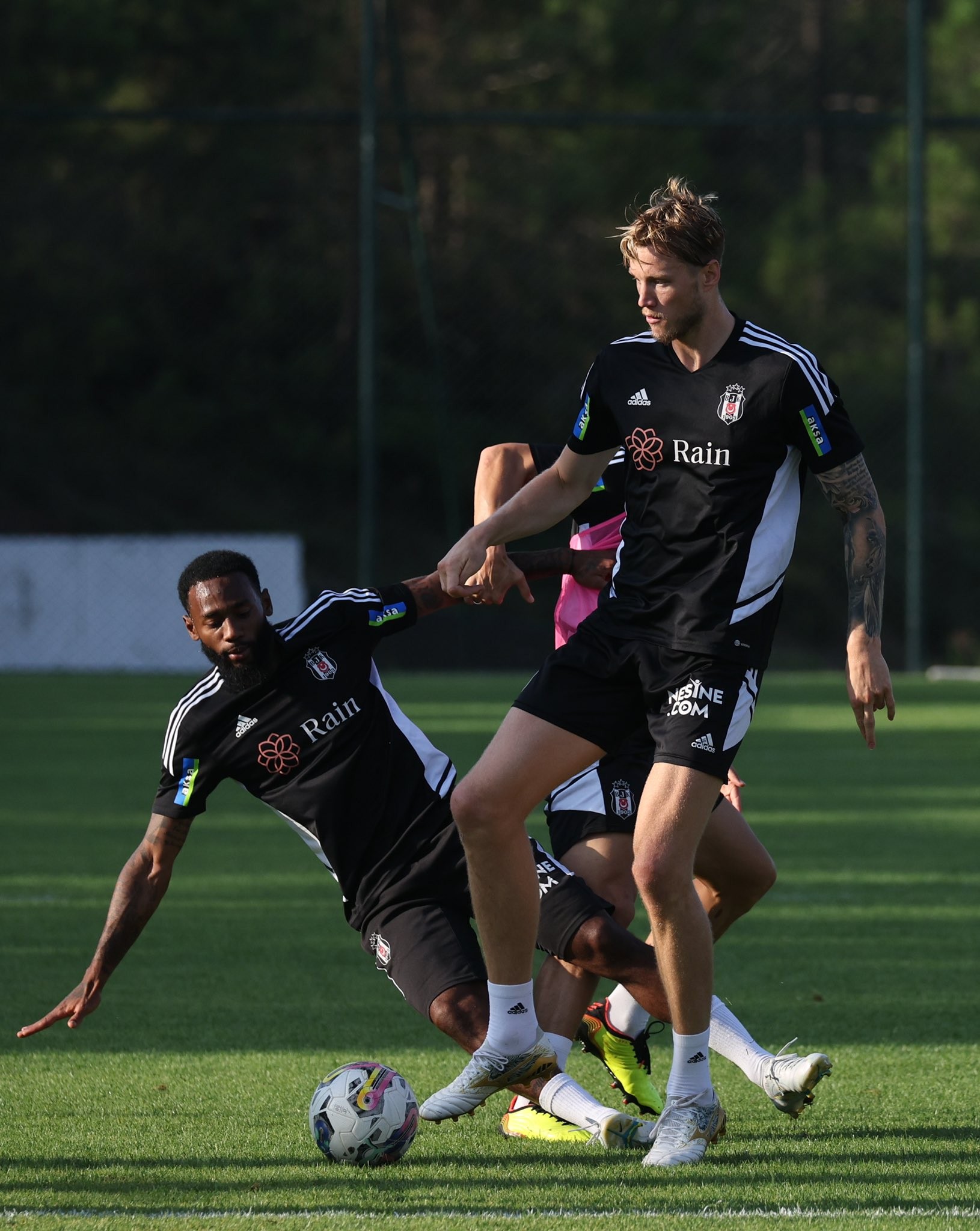 BEŞİKTAŞ TRANSFER HABERLERİ - Beşiktaş’tan Tayfur Bingöl için yeni teklif!