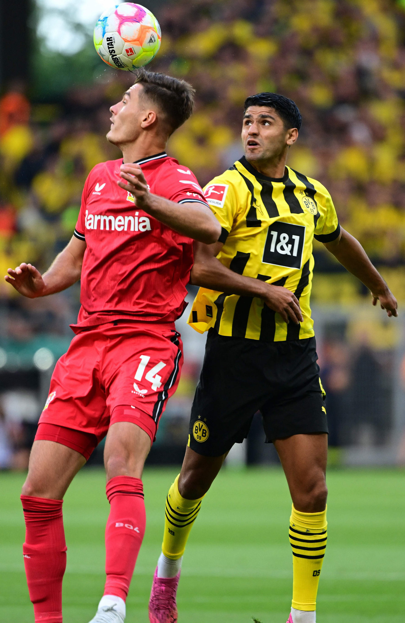 FENERBAHÇE TRANSFER HABER: Kanarya’ya Alman orta saha! 3 kulüp daha peşinde...