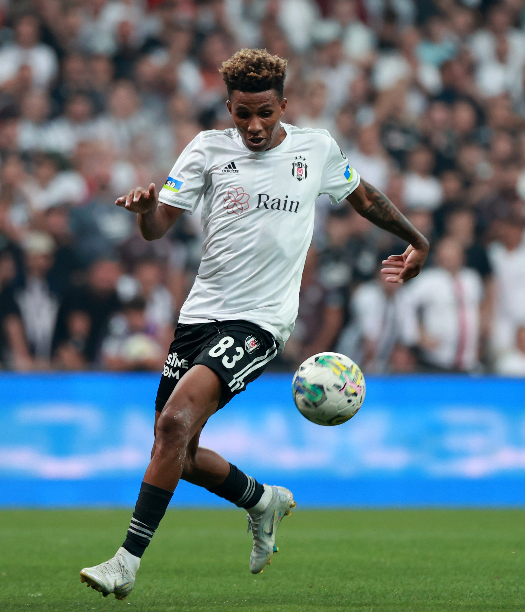 Gedson Fernandes’e İngiliz talip! Almakta kararlılar