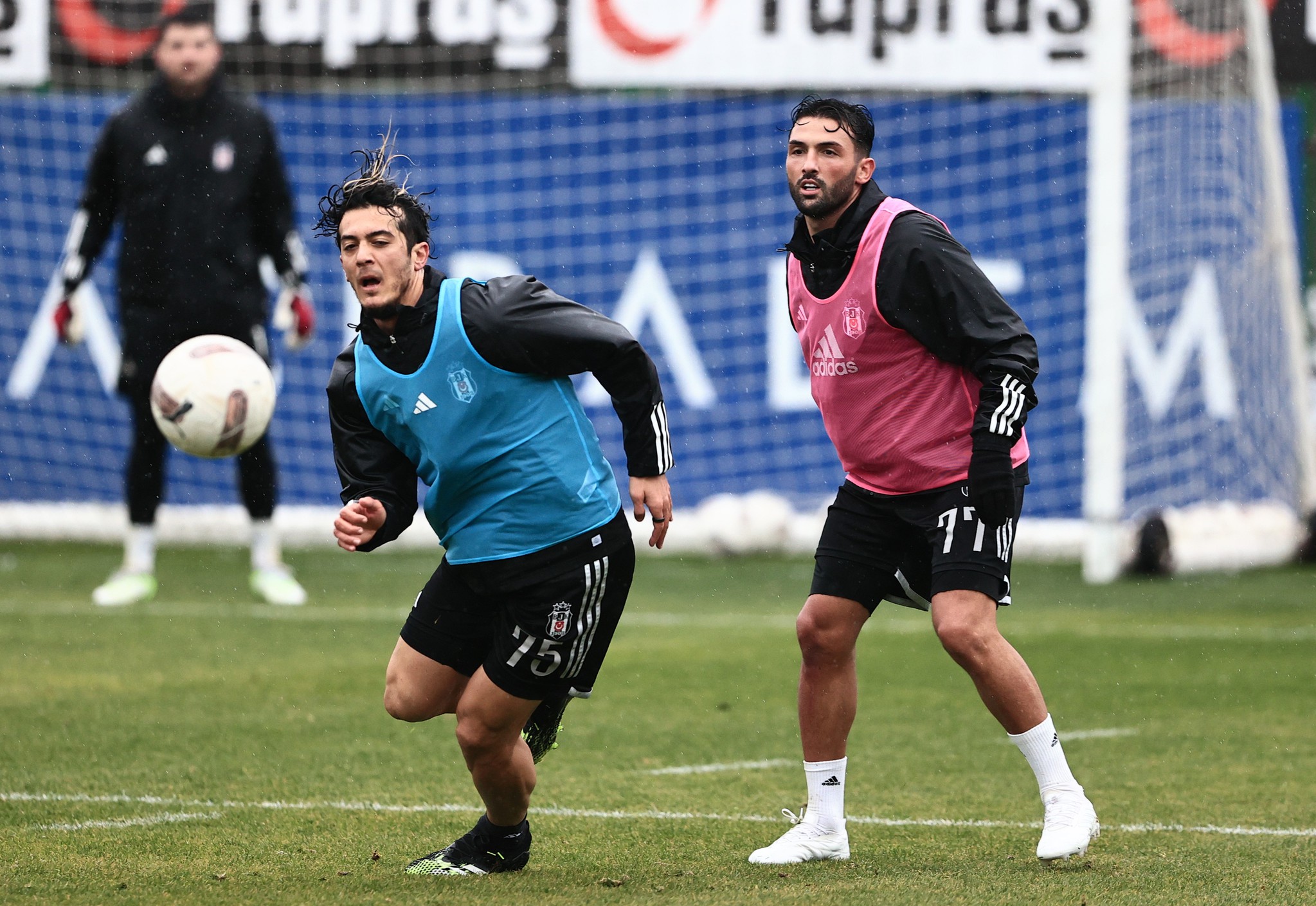 SON DAKİKA TRANSFER HABERİ: Anastasios Bakasetas Beşiktaş’a! İşte sözleşme detayları