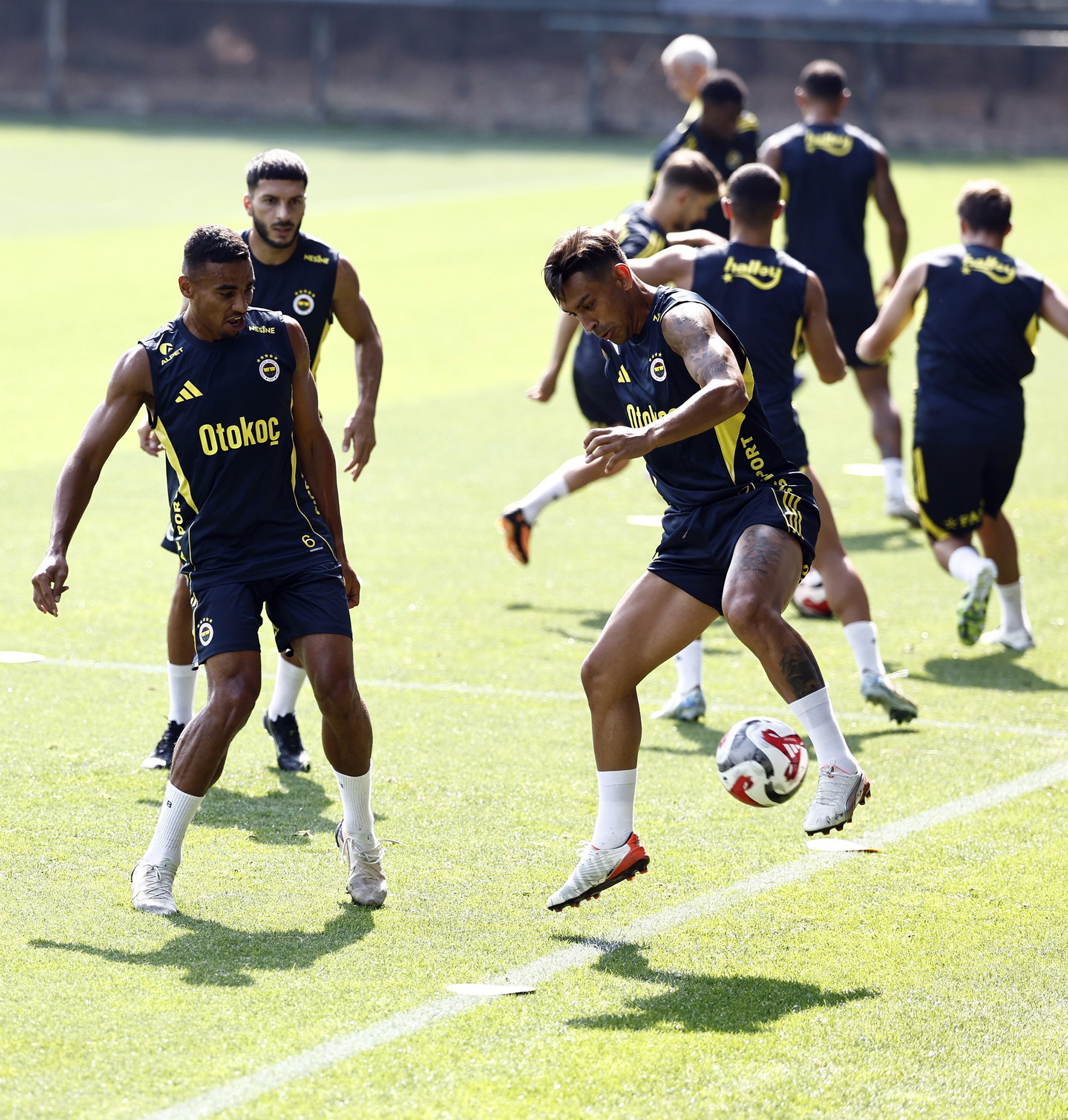 FENERBAHÇE HABERLERİ: Kampa damga vurdular! İşte Mourinho’nun gözdeleri