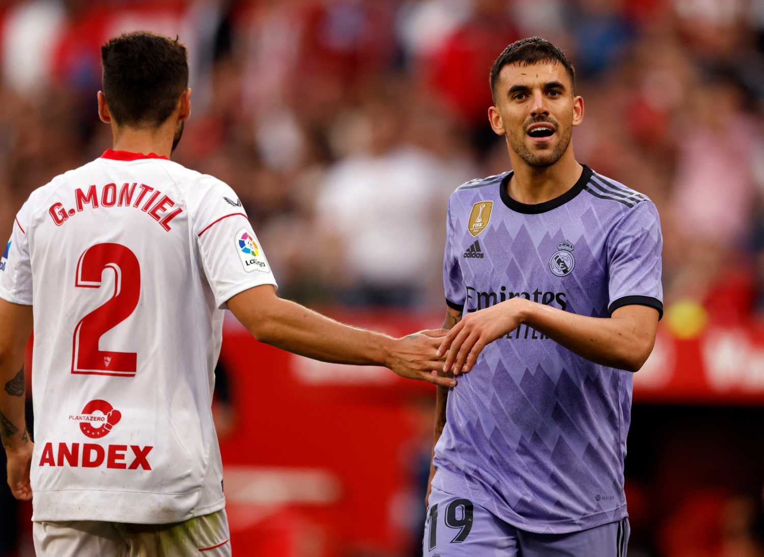 Fenerbahçe’nin yeni transferi Real Madrid’den!