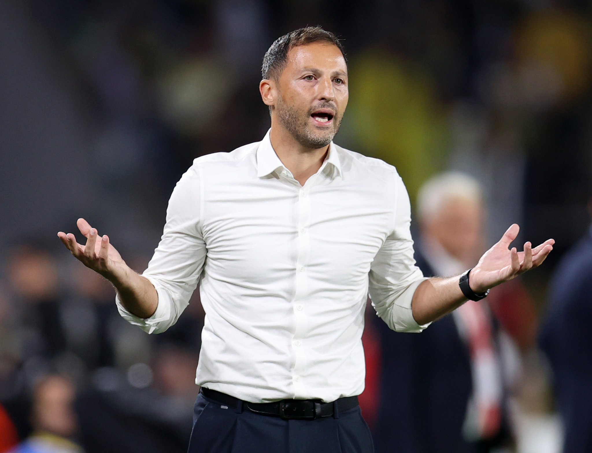 FENERBAHÇE HABERİ: Domenico Tedesco’nun geleceği belli oldu!