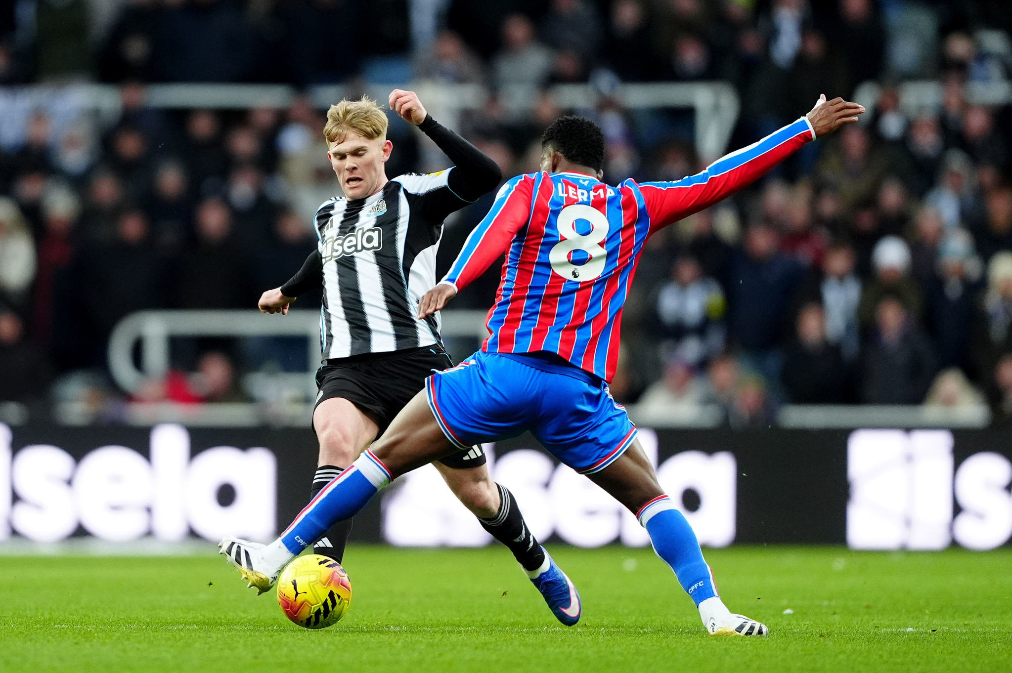 Galatasaray’ın yeni yıldızı Davinson Sanchez’den! İşte o isim