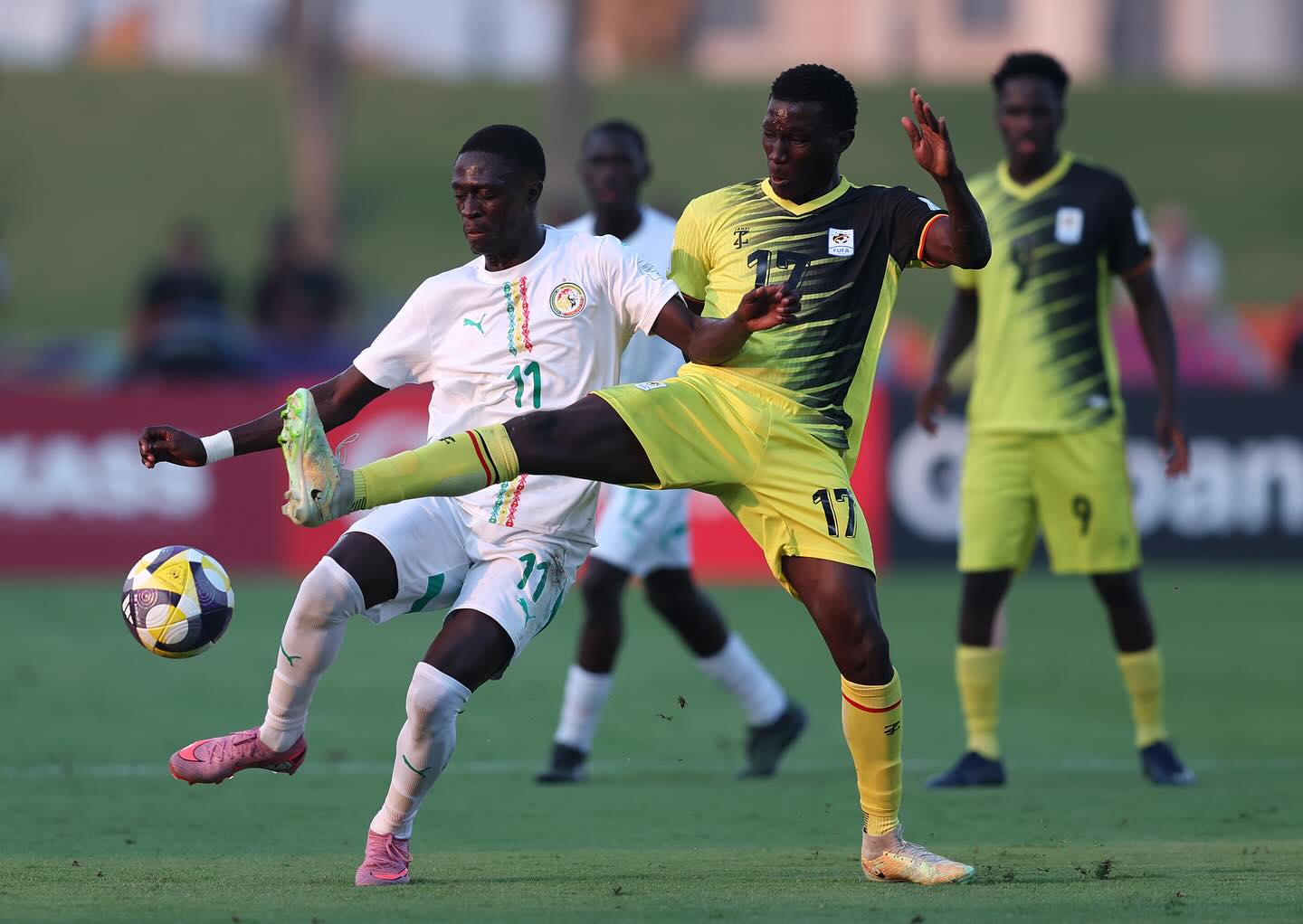 Fenerbahçe’ye Senegal’den gençlik ateşi! 2 oyuncu çok yakın