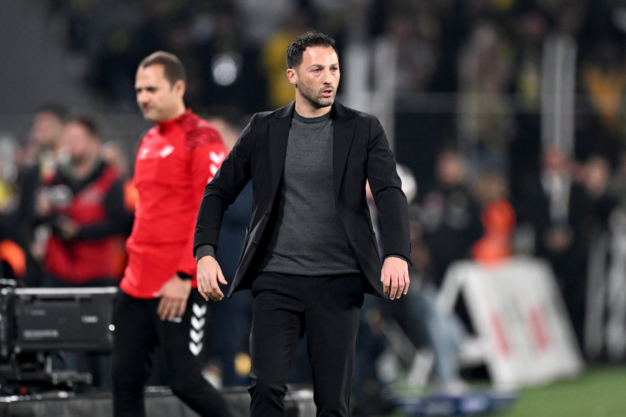 Fenerbahçe’den şok Domenico Tedesco kararı!