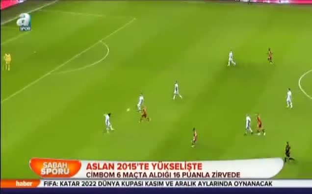 Aslan 2015'te yükselişte