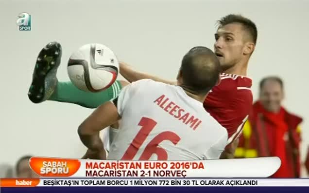 Macaristan Euro 2016'da