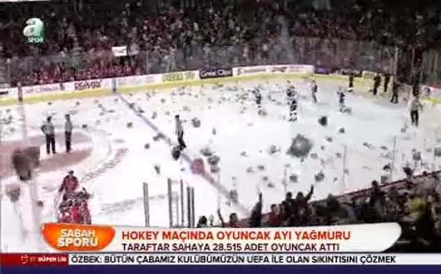 Hokey maçında oyuncak ayı yağmuru