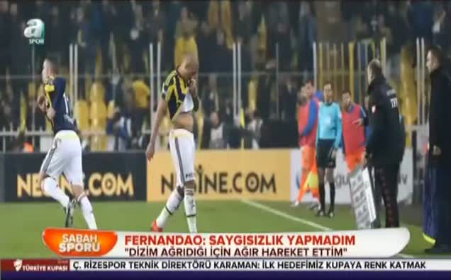 Fernandao: Saygısızlık yapmadım