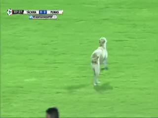 Kupa maçında sahaya köpek girdi.