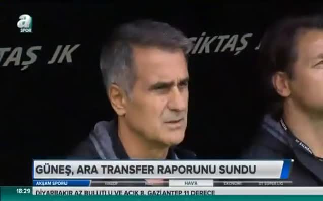 Şenol Güneş: Transfer şart