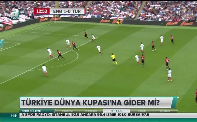 Türkiye 2018 Dünya Kupası'na gider mi?